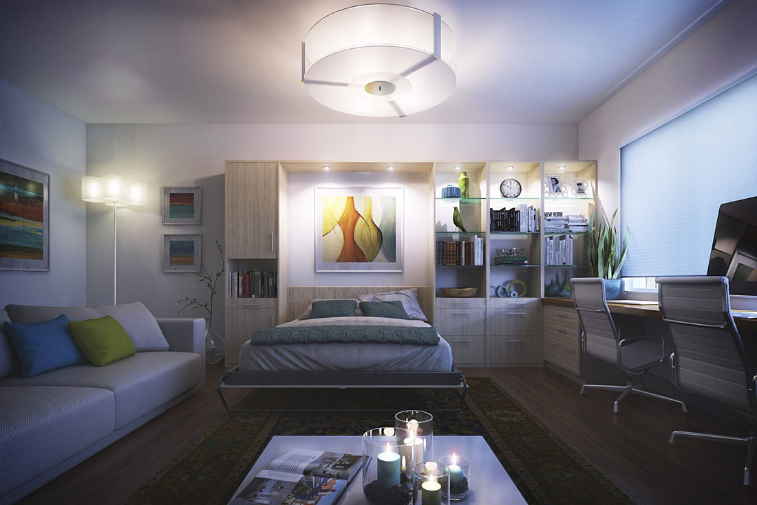 Becoming Clutter Free with a Murphy Bed